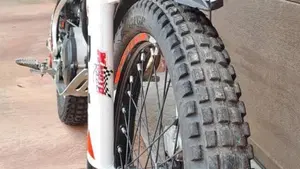 Betamotor Evo 300 2t (2017 - 18)  (2)