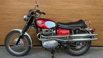 Bsa A65 FIREBIRD SCRAMBLER 650 TARGA ORO FMI epoca