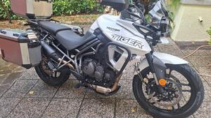 Triumph Tiger 800 XRx (2018 - 20) 