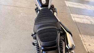 Triumph Scrambler 900 Icon Edition (2025 - 26) 