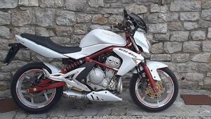 Kawasaki ER-6N (2005 - 08) 