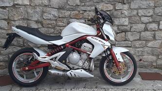 Kawasaki ER-6N (2005 - 08) usata
