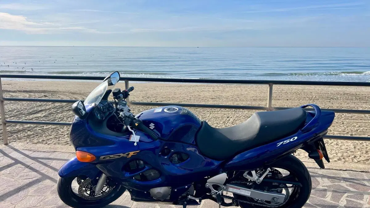 Suzuki GSX 750 F (1999 - 06)  (6)