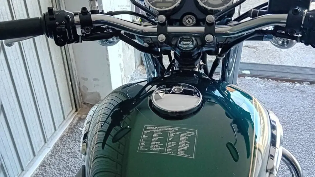 Kawasaki W 800 (2010 - 17)  (5)