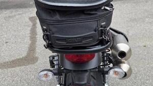 Triumph Street Scrambler 900 (2019 - 20) 