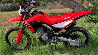 Honda CRF 300L (2025 - 26) usata