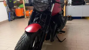 Moto Guzzi V7 Stone (2021 - 24)  (17)