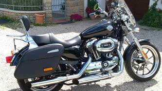 Harley-Davidson 1200 SuperLow (2014 - 16) - XL 1200T usata