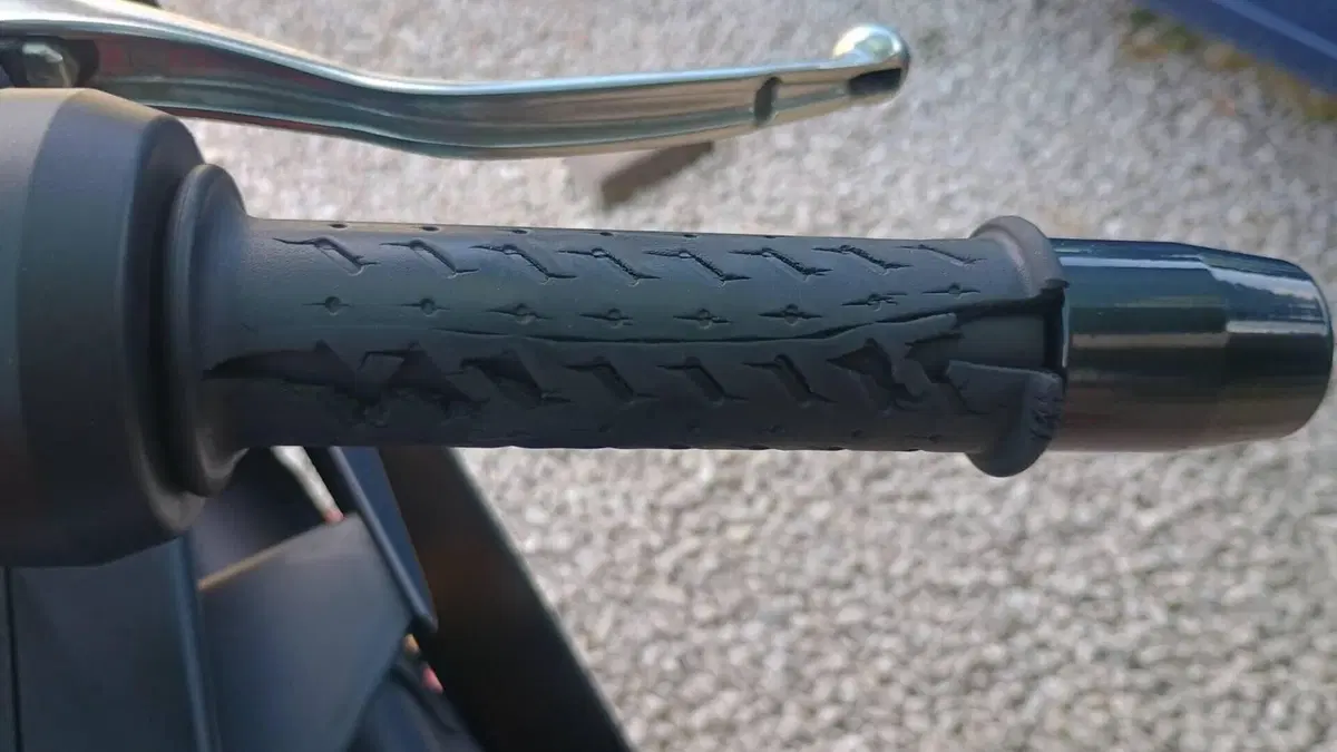 Aprilia RS 660 (2020 - 24)  (9)