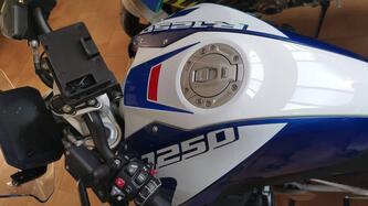 Bmw R 1250 R (2021 - 25) usata