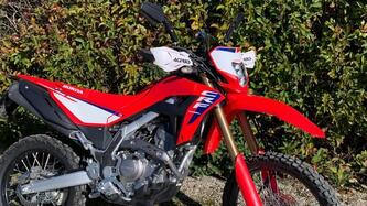 Honda CRF 300L (2025 - 26) usata