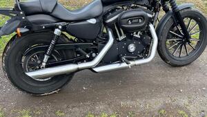 Harley-Davidson 883 Iron (2012 - 14) - XL 883N 