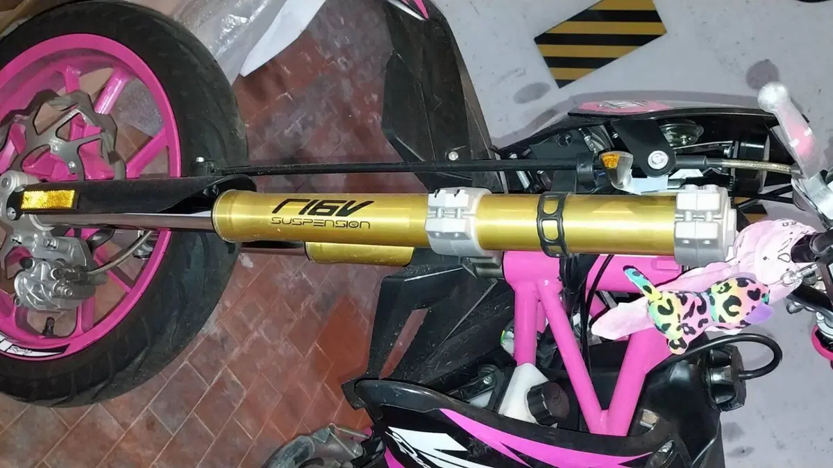 Valenti Racing SM 50 (2015 - 22)  (3)