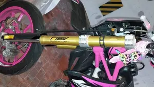 Valenti Racing SM 50 (2015 - 22)  (3)