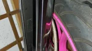 Valenti Racing SM 50 (2015 - 22)  (4)