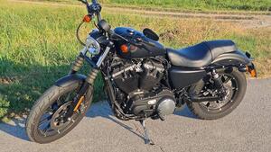 Harley-Davidson 883 Iron (2017 - 20) - XL 883N 