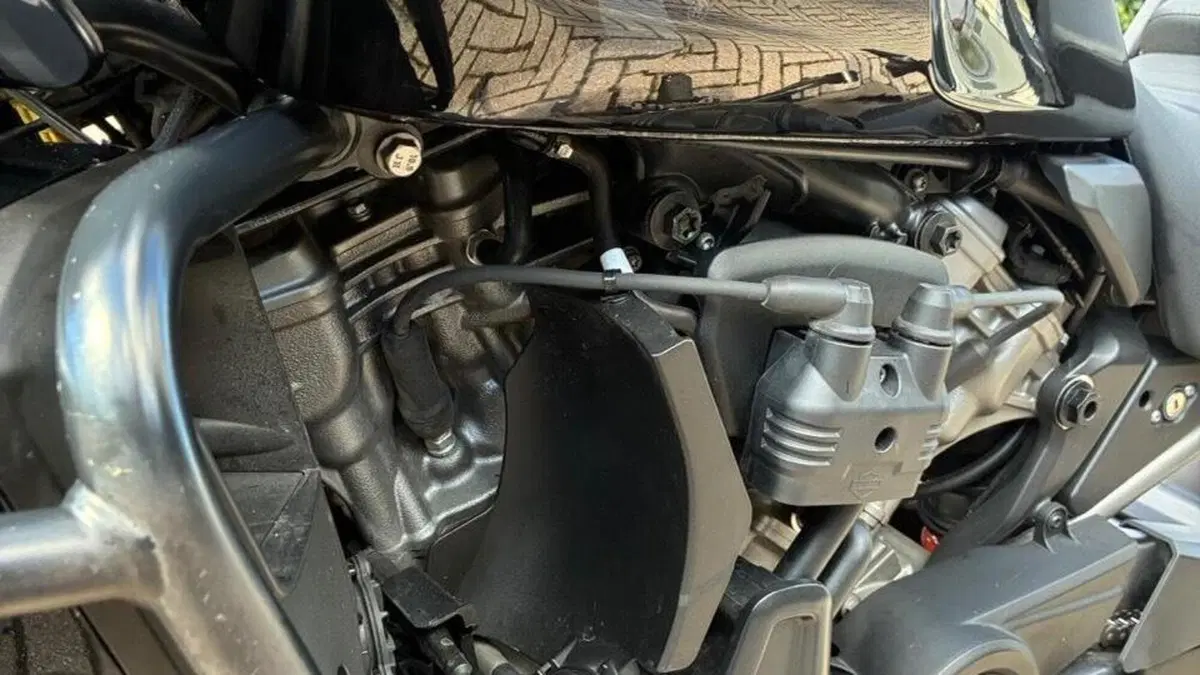Harley-Davidson Pan America 1250 Special (2020 - 25)  (7)