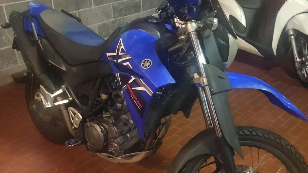 Yamaha XT 660 R (2004 - 16)  (5)