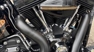 Harley-Davidson 1690 Slim (2011 - 16) - FLS 