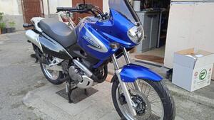 Suzuki XF 650 Freewind (1997 - 03) 