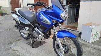Suzuki XF 650 Freewind (1997 - 03) usata