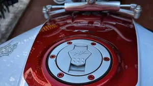 MV Agusta Brutale 800 RR (2015 - 16)  (13)