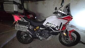 Ducati DesertX (2022 - 25) usata