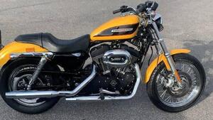 Harley-Davidson 1200 Roadster (2002 - 05) - XL 1200R 