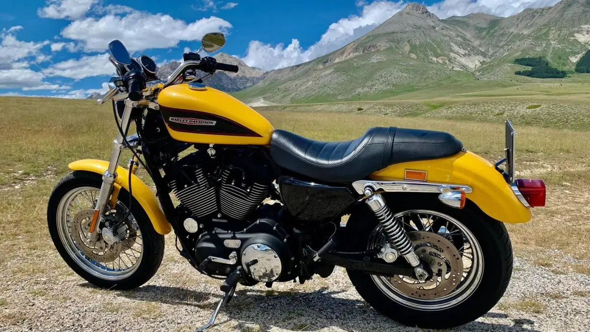 Harley-Davidson 1200 Roadster (2002 - 05) - XL 1200R  (3)