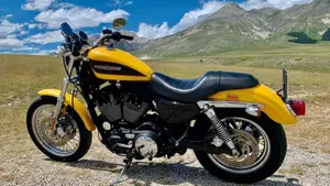 Harley-Davidson 1200 Roadster (2002 - 05) - XL 1200R  (3)