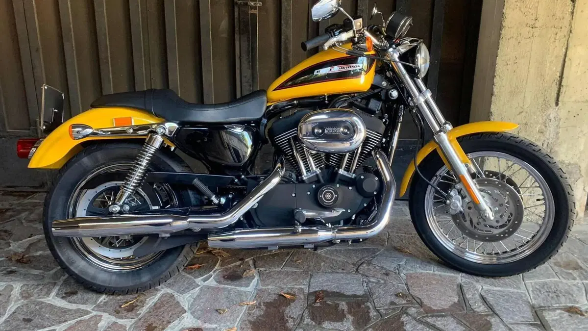 Harley-Davidson 1200 Roadster (2002 - 05) - XL 1200R  (4)