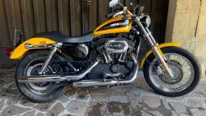 Harley-Davidson 1200 Roadster (2002 - 05) - XL 1200R  (4)