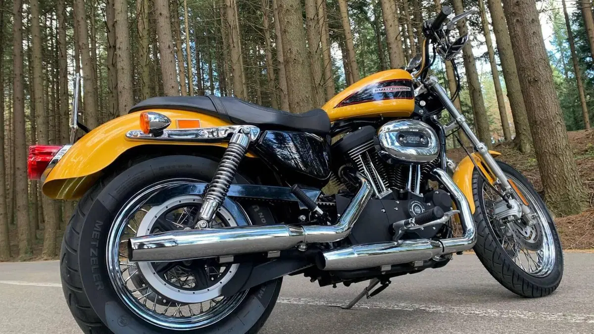 Harley-Davidson 1200 Roadster (2002 - 05) - XL 1200R  (5)