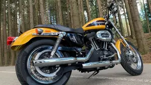 Harley-Davidson 1200 Roadster (2002 - 05) - XL 1200R  (5)