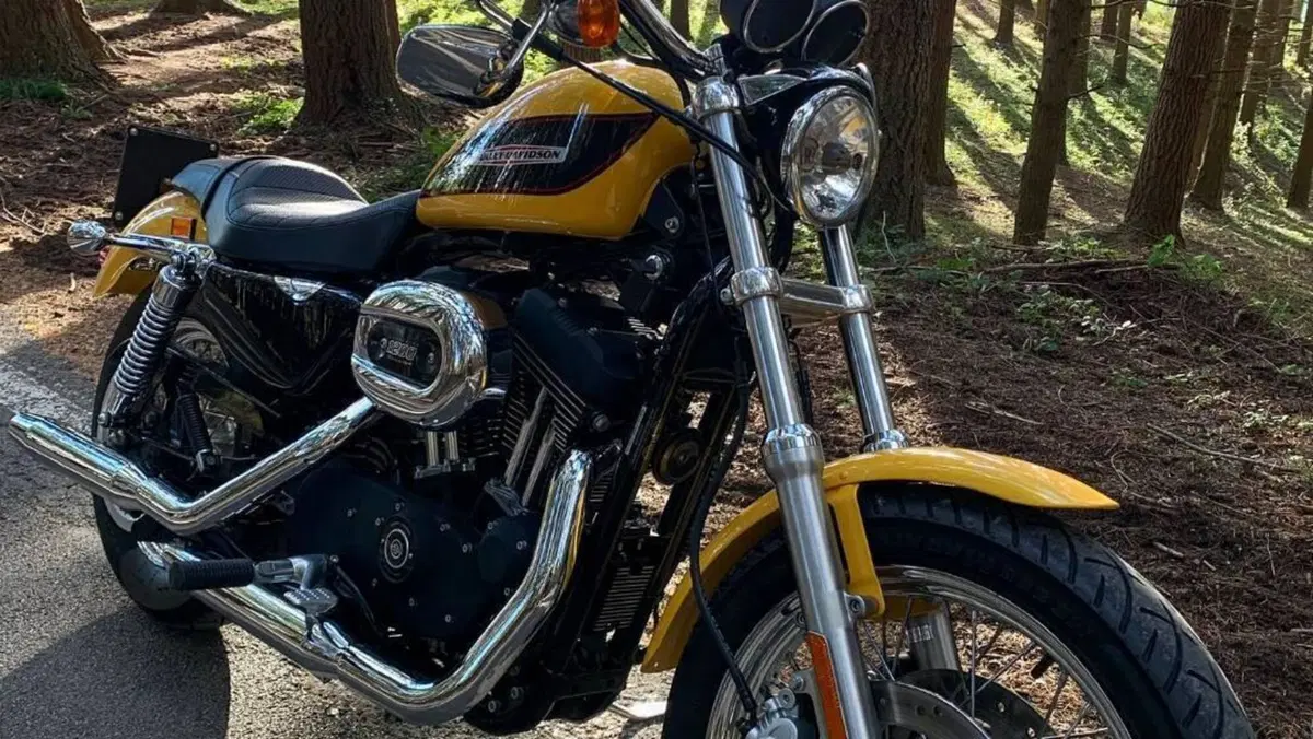 Harley-Davidson 1200 Roadster (2002 - 05) - XL 1200R  (6)