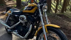 Harley-Davidson 1200 Roadster (2002 - 05) - XL 1200R  (6)