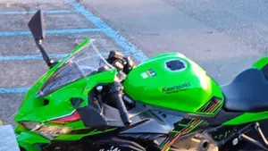 Kawasaki Ninja ZX-4RR (2024 - 26)  (2)