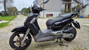 Aprilia Scarabeo 300 Special (2009 - 13) 