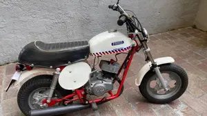 Fantic Motor   (5)