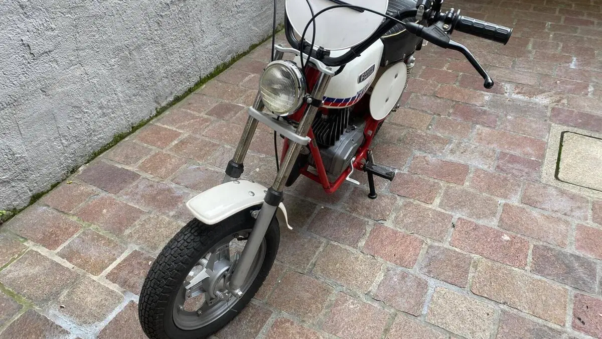 Fantic Motor   (6)