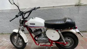 Fantic Motor   (7)