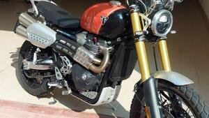 Triumph Scrambler 1200 XE (2024 - 25) 