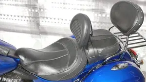 Indian Chieftain Limited (2017 - 18)  (4)