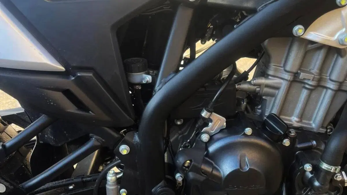 Betamotor Alp X (2024 - 26)  (8)