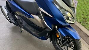 Honda Forza 350 (2022 - 24) 
