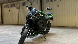 Kawasaki Z 300 ABS (2015 - 16) 