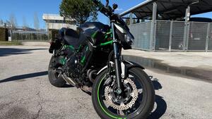Kawasaki Z 650 (2021 - 24) 