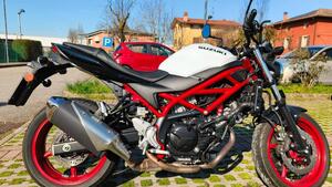 Suzuki SV650 (2021 - 24) 