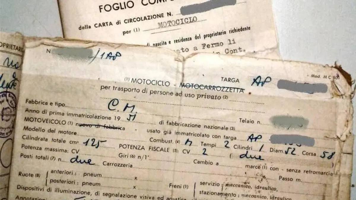 C.M.   (11)