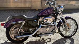 Harley-Davidson 883 Custom (2001 - 05) - XL 53C 
